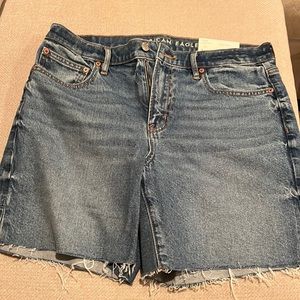 American Eagle Outfitters Blue Denim Shorts